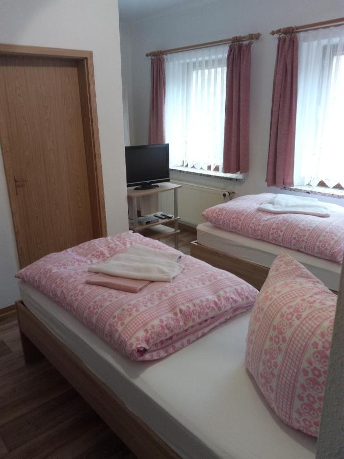 Hotel Am Muehlteich Taltitz Exteriér fotografie